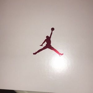 Air Jordan 10 RETRO (brand new still in box)